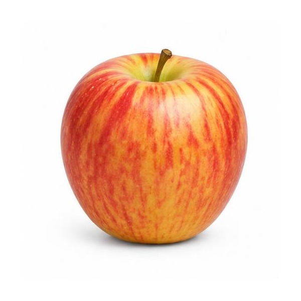 Manzana Gala