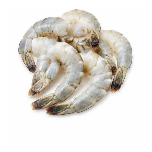 Camarones blancos XL
