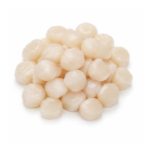 Vieiras pequeñas