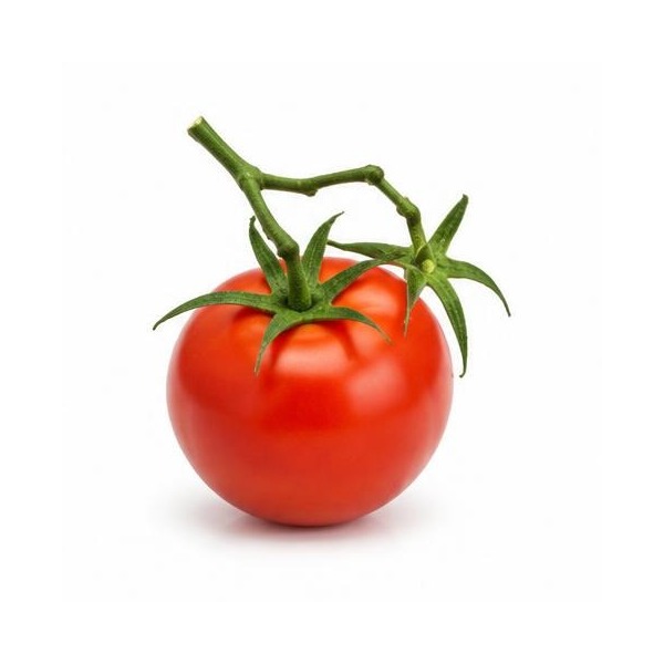 Tomate en rama