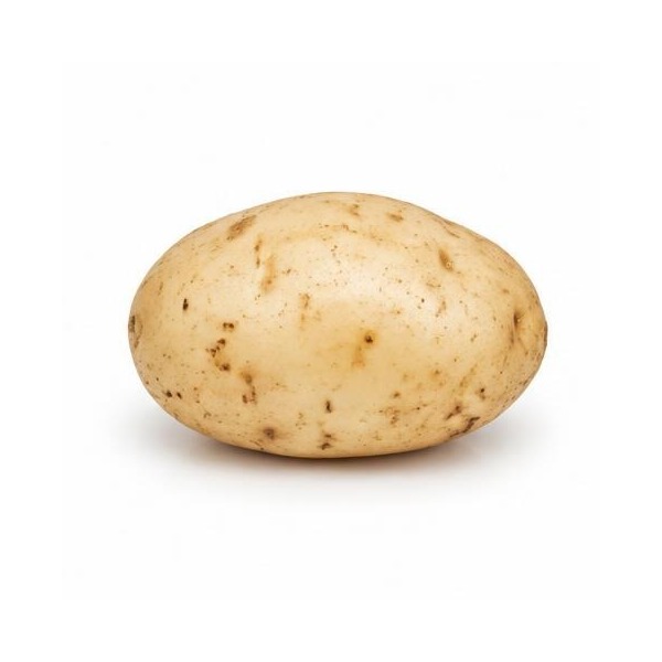 Papa blanca