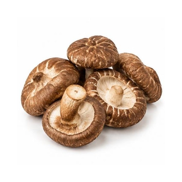 Hongos shiitake